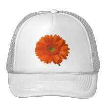 Orange Daisy Baseball Hat