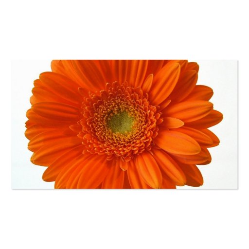 Orange Daisy Business Card (back side)