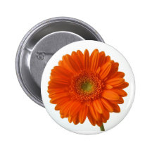 Orange Daisy Button