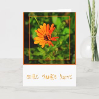 Orange Daisy-CARD card