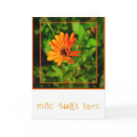 Orange Daisy-CARD