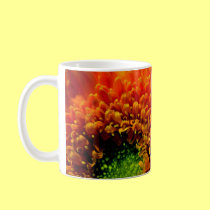 Orange Daisy Coffee Cup mugs