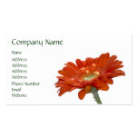 Orange Daisy Gerbera Flower business cards