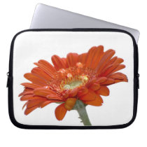 Orange Daisy Gerbera Flower Computer Sleeves