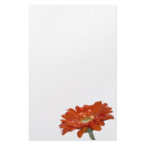 Orange Daisy Gerbera Flower Custom Stationery
