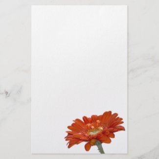 Orange Daisy Gerbera Flower Custom Stationery