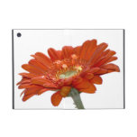 Orange Daisy Gerbera Flower iPad Mini Cases