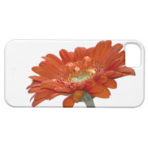 Orange Daisy Gerbera Flower iPhone 5 Covers