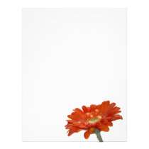 Orange Daisy Gerbera Flower Letterhead Template