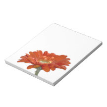 Orange Daisy Gerbera Flower Note Pad