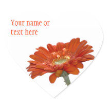 Orange Daisy Gerbera Flower Stickers