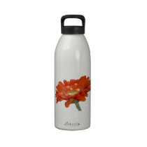 Orange Daisy Gerbera Flower Water Bottles