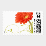 Orange Daisy Gerbera Wedding Stamps stamps