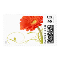 Orange Daisy Gerbera Wedding Stamps