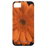 Orange Daisy iPhone Case casemate cases