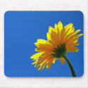 Orange Daisy Mousepad