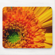 Orange Daisy on a Mousepad by WanderLinArts Orange Daisy on a Mousepad