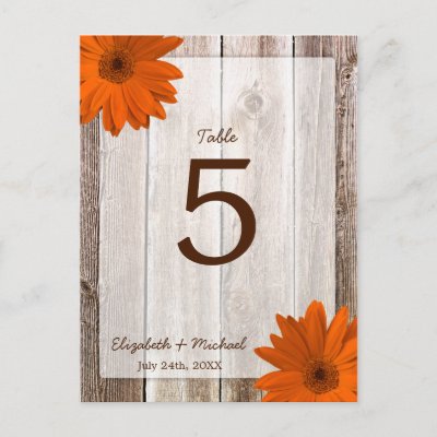 Orange Daisy Rustic Barn Wood Wedding Table Number Post Card by 
