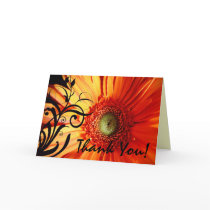 Orange Daisy Thank You Greeting Cards