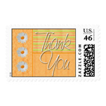 Orange Daisy Thank You