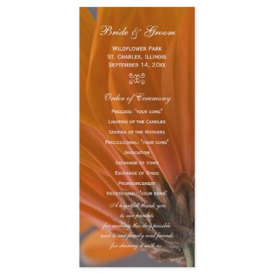 Gerber Daisy Wedding Programs on Orange Daisy Wedding Program Rack Card Design From Zazzle Com