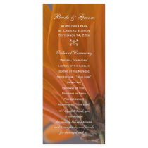 Orange Daisy Wedding Program Rack Card Design
