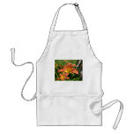Orange Day Lillies aprons
