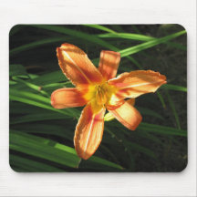 Orange Day Lily Mousepads
