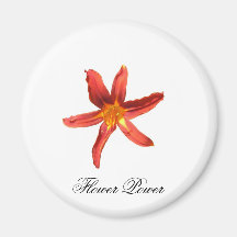 Orange Day Lily Refrigerator Magnets