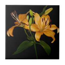 Orange Day Lily Tile