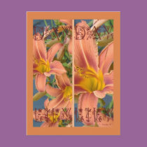 ORANGE DAYLILIES BOOKMARKS postcards