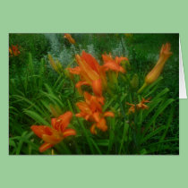 Orange daylilies card