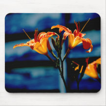 Orange Daylilies mousepad