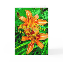 Orange Daylily Feel Better Soon Card