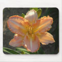 Orange Daylily Mousepad mousepad