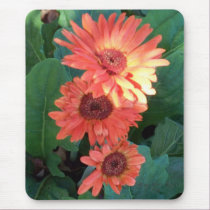 Orange Delight Mousepad by SherryHHunt Orange Delight Mousepad