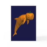 Orange Dolphin Cards