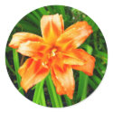 Orange Double Day Lily stickers by princessklb07 Orange Double Day Lily stickers