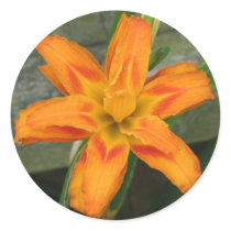 Orange Double Day Lily stickers by princessklb07 Orange Double Day Lily stickers