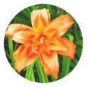 Orange Double Day Lily stickers by princessklb07 Orange Double Day Lily stickers
