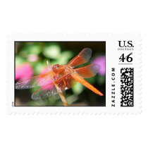 Orange Dragonfly Stamp by GBHArtist Orange Dragonfly Stamp