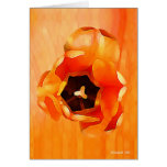 Orange Essence Cards