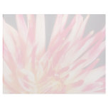 Orange Explosion flowers Letterhead Template