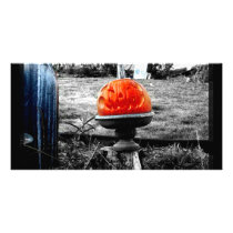 Orange Face photo cards by thedustyphoenix Orange Face photo cards