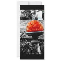Orange Face rack cards