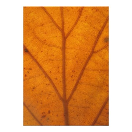 Orange Fall Leaf Wedding Invitation