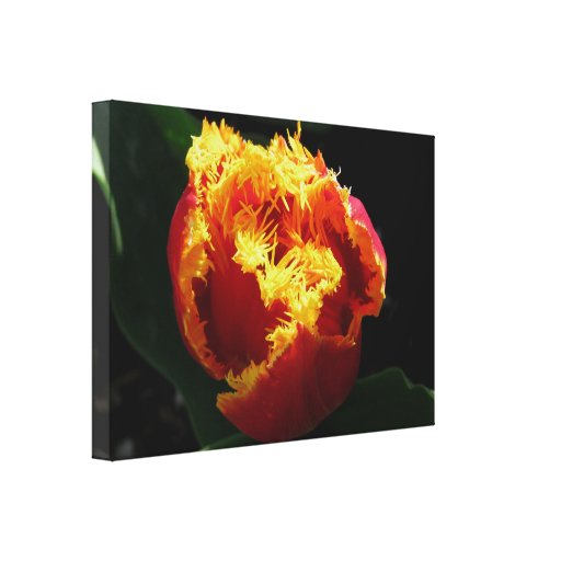 Orange Fire Canvas Print
