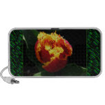 Orange Fire Portable Speaker