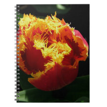 Orange Fire Spiral Note Book