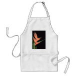 Orange Fishtail heliconia (Heliconia humilis) flow Aprons